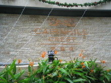 Cairnhill Crest (D9), Condominium #1016662